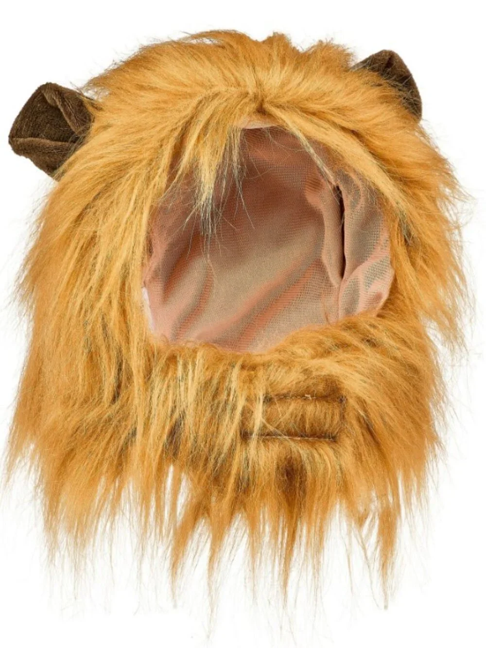 Petco new lion